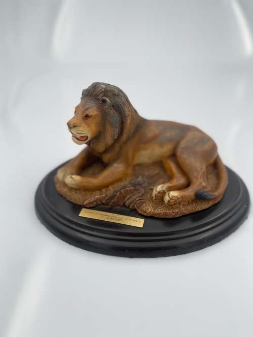 FEATHERS OF KNYSNA FEATHERS WILDLIFE !!!!