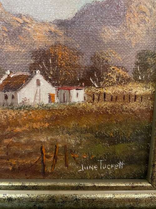 Two beautiful June Tucket oil paintings bid for both size 42x 57 cm