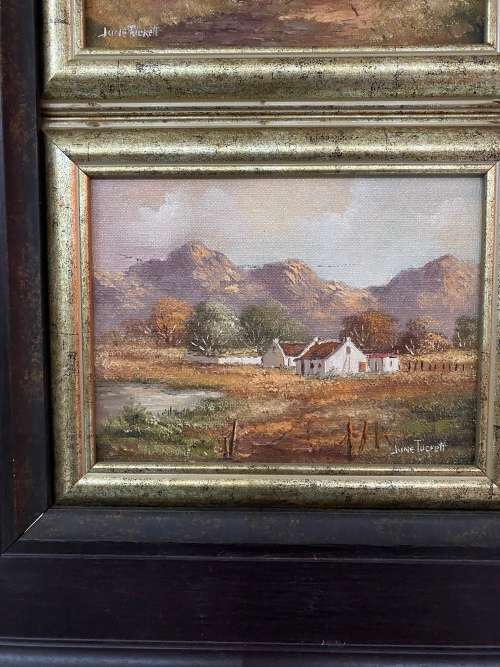 Two beautiful June Tucket oil paintings bid for both size 42x 57 cm