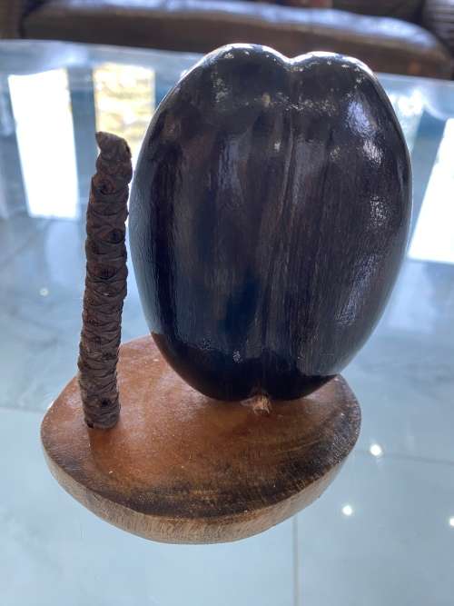 Coco de mer 12CM desktop piece !!!