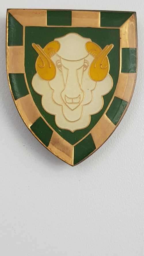 SADF Regiment Groot Karoo flash.