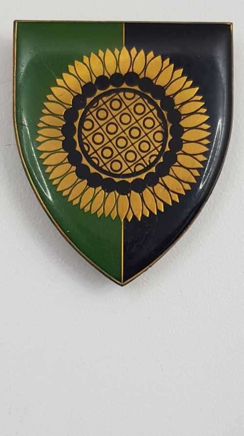 SADF Regiment Botha flash.