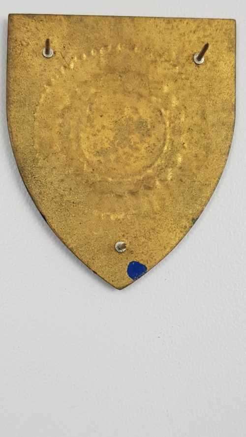 SADF Regiment Botha flash.