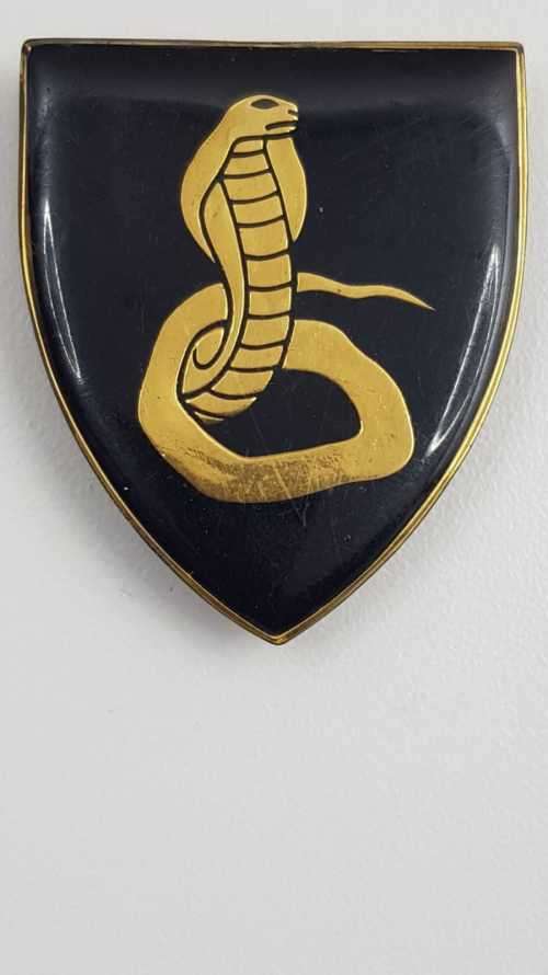SADF Cape Flats Commando flash.