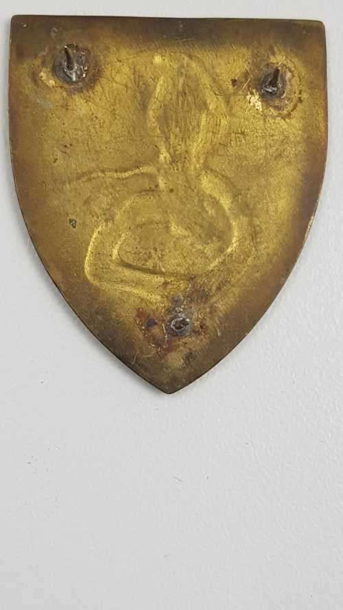 SADF Cape Flats Commando flash.