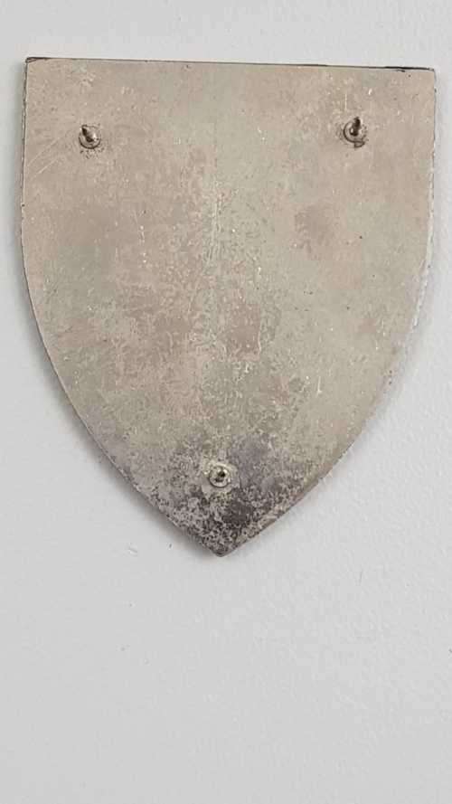 SADF Regiment Bloemspruit flash