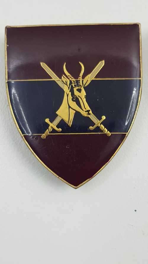 SADF Directorate Engineers facing pair flashes