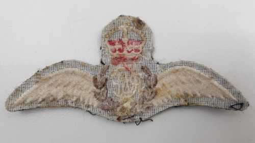 Royal Air Force wings.