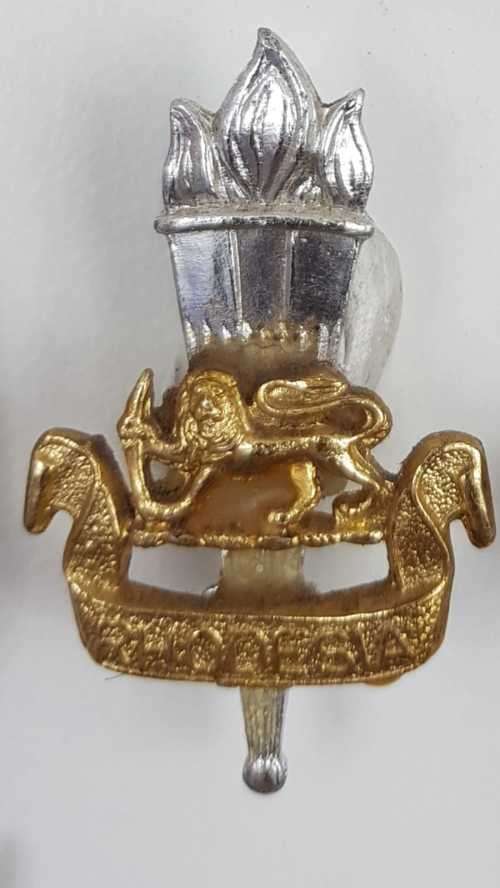 Rhodesian Army badge Lot. Original.