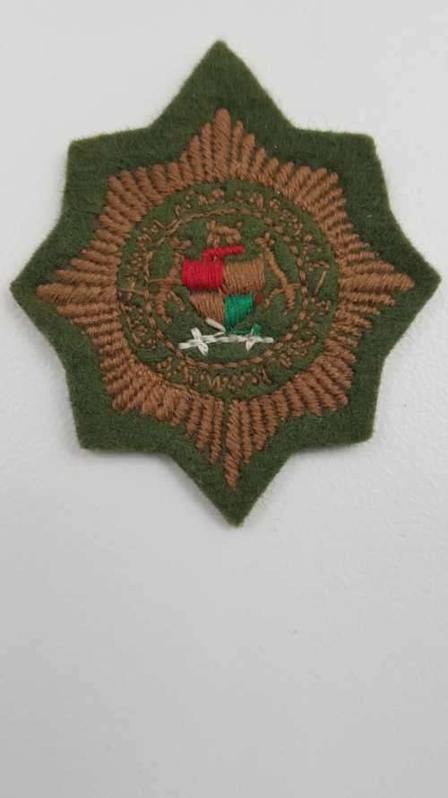 SAP Koevoet cap badge