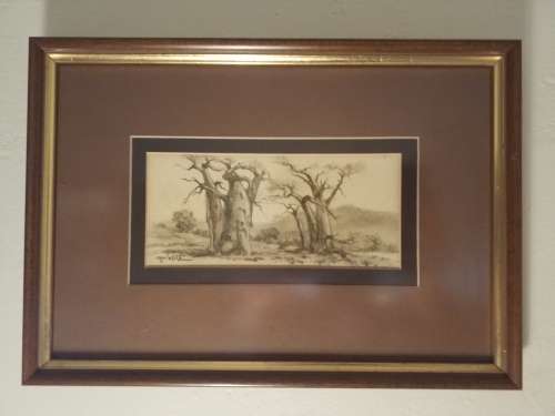 Otto Klar - Baobab Trees