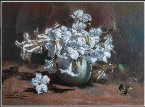 Dino Paravano - Still Life