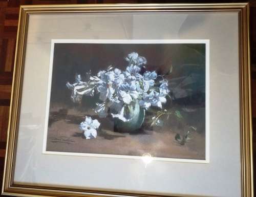 Dino Paravano - Still Life