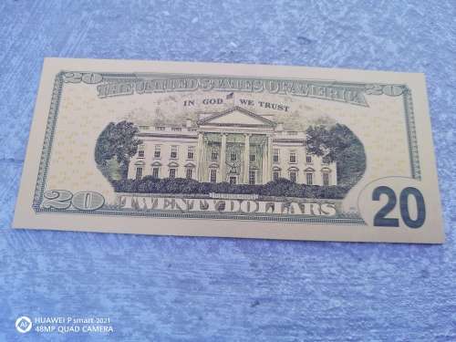 24k Gold Plated $20 Note