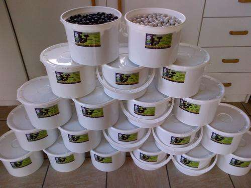 Solid Plastic Paintballs