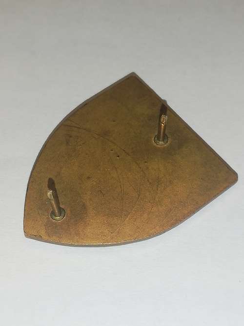 1 Parachute Battalion Fob badge