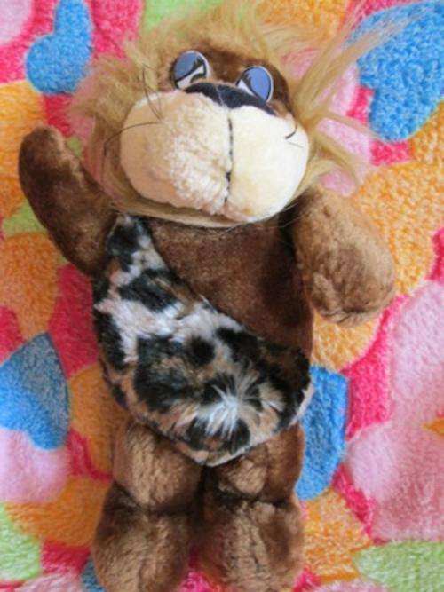 What a Funny Looking Little Lion?