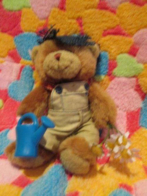 The Teddy Bear Collection - Gardener