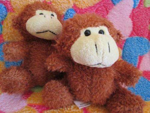 The Twins Two Cute Monkeys For One Bid