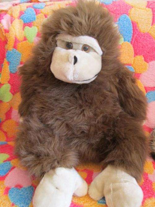 One Big Monkey, So Cute