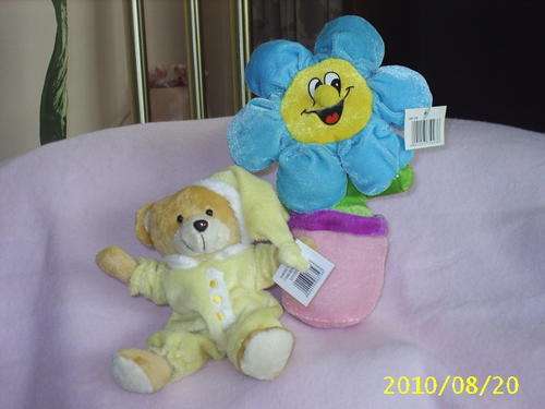 Soft teddy bear and soft flower