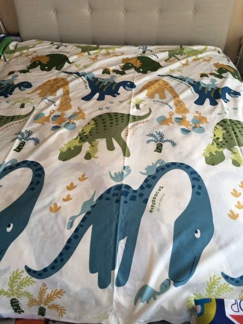 DINOSAURS DOUBLE DUVET COVER SET - FOR BOYS