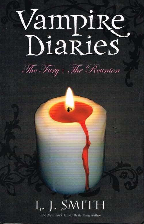 Vampire diaries The fury The reunion L J Smith