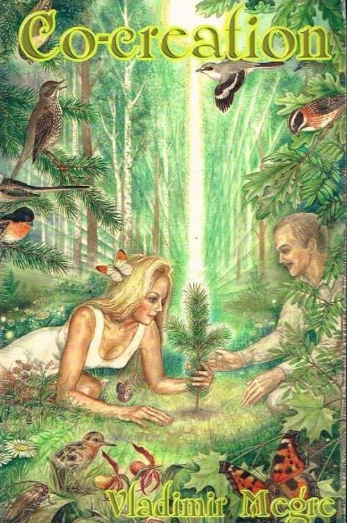 Co-creation Vladimir Megre