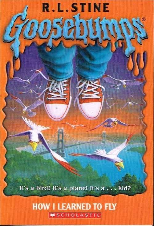 Goosebumps how I learned to fly R L Stine