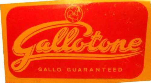VINTAGE GALLOTONE  STEEL, EXTRA LOUD, HARD  GRAMOPHONE NEEDLES