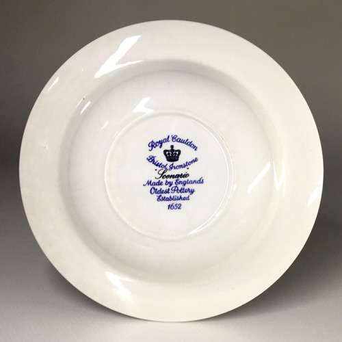 TWO (A MATCHED PAIR  ) ROYAL CAULDON BRISTOL IRONSTONE BOWLS ` SCENARIO `