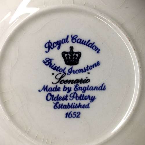 TWO (A MATCHED PAIR  ) ROYAL CAULDON BRISTOL IRONSTONE BOWLS ` SCENARIO `