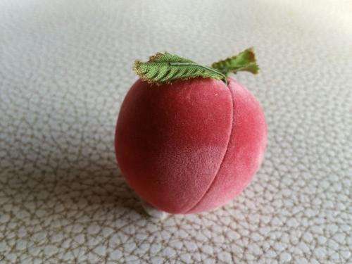 Storage Ring Jewellery Box Peach   NEW