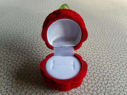 Storage Ring Jewellery Box Flower basket NEW