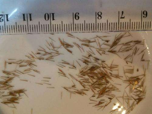 Clock - watch parts - gears and more - Watchmaker find your Treasure