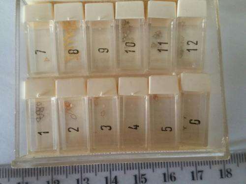 Watch parts Decksteinfedern -Watchmaker Treasures