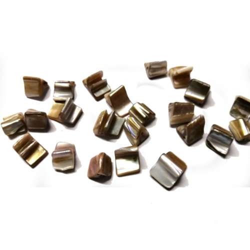 Beads / Shell  Beads  8-11mm -22pcs / Beads for crafting