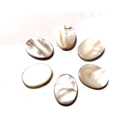 Beads / Shell  Beads +/-20x15mm - 6pcs - Hole +/- 1.0mm / Beads for crafting