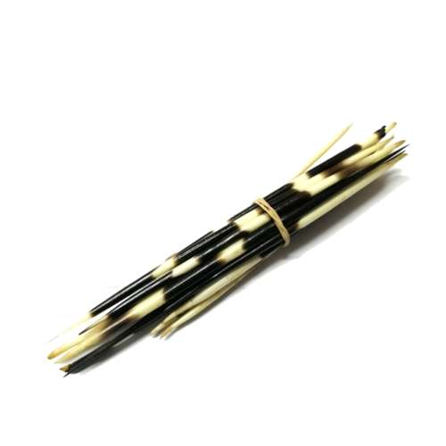 Porcupine quills 20pcs-9-20cm unsorted -natura unwashed