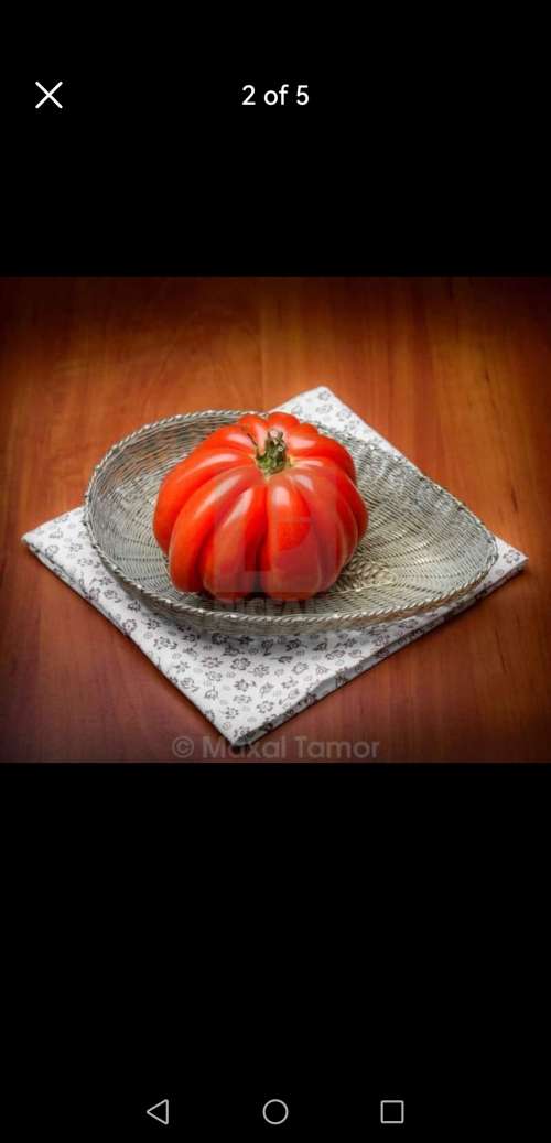 Sterling Silver Oval Filigree Basket