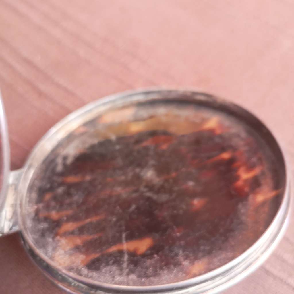 1920s Rare Find Sterling Silver Tortoiseshell Jewellery box