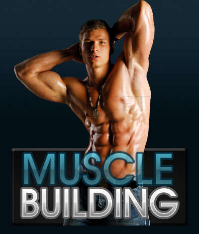 Muscle Building - Get Ripped [FREE SHIPPING]