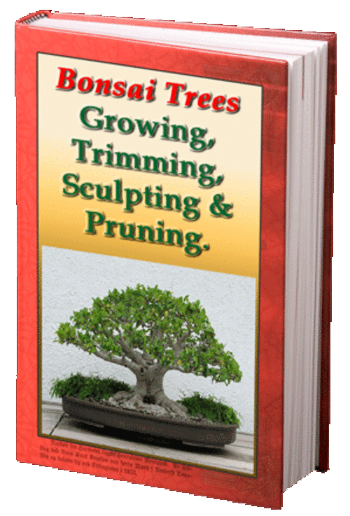 E-BOOK: BONSAI - THE COMPLETE GUIDE TO GROWING YOU OWN BONSAI