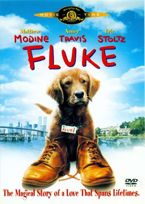 Fluke (DVD)