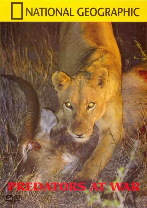 National Geographic - Predators At War (DVD)