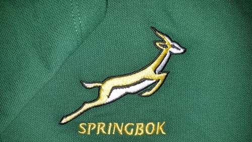 SPRINGBOK MEDIA POLO SHIRT