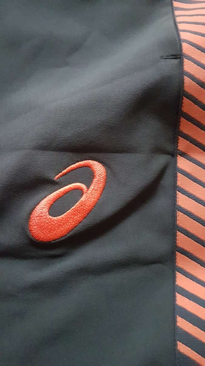 Springbok Training Pant Oak Green