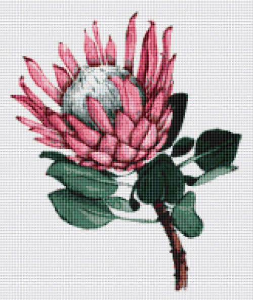 Protea 4 Cross Stitch Pattern PDF - Flower Plant Watercolor Cross Stitch Pattern