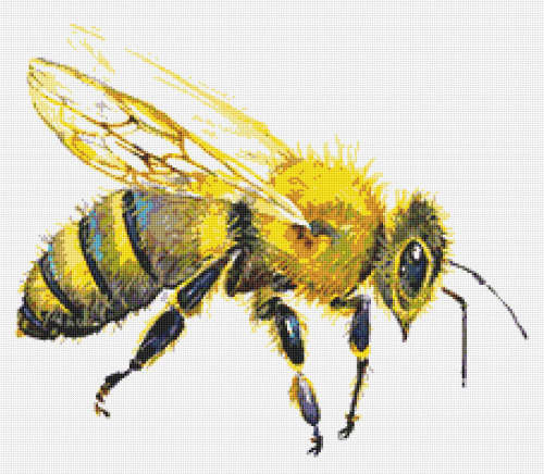 Honey Bee 1 Cross Stitch Pattern PDF - Insect Watercolor Cross Stitch Pattern
