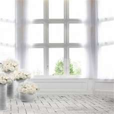 White Rose Window Photography Background Backdrop